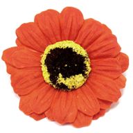 Mýdlové Květy - Malé Slunečnice - Oranžové
