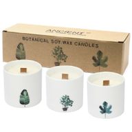 Botanická Svíčka - Velká - Fialka