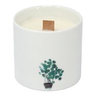 Botanická Svíčka - Velká - Fialka