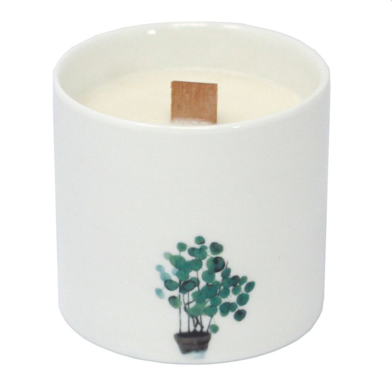 Botanická Svíčka - Velká - Fialka