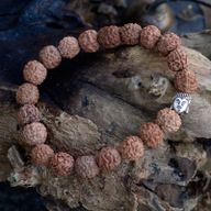 Rudraksha Buddha Mala Náramek - Přírodní