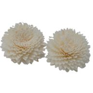 Přírodní Aroma Difuzér Květ - Velký Karafiát