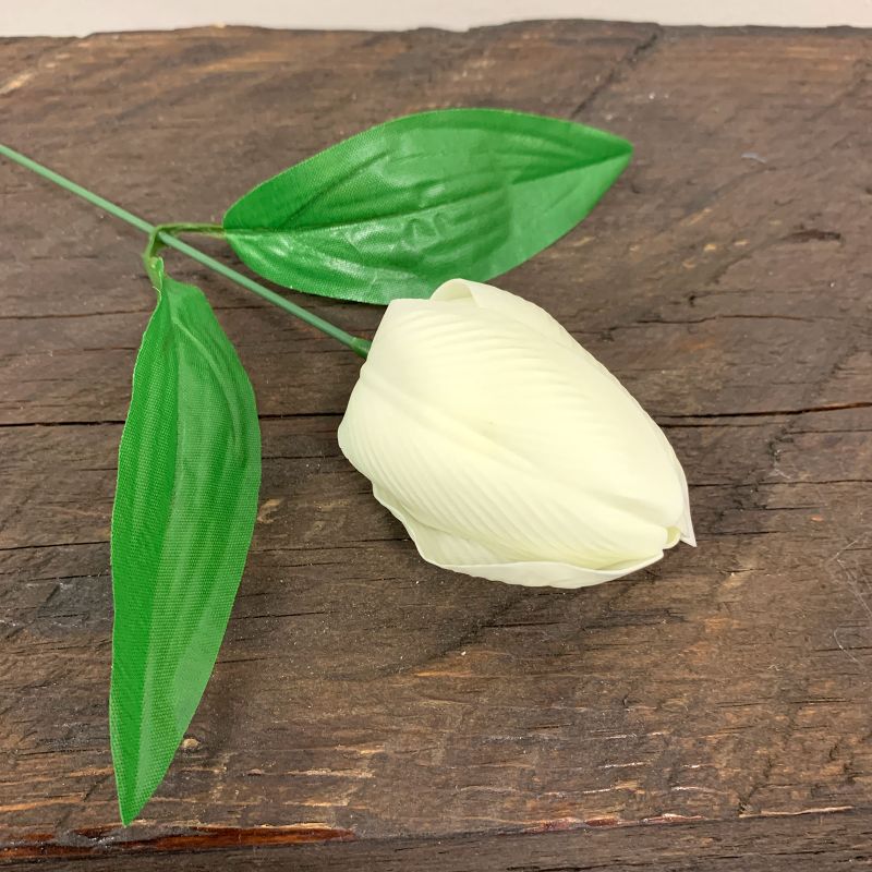 Mýdlové Květy - Střední Tulipán - Krémový