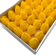Mýdlové Květy - Střední Tulipán - Žlutý
