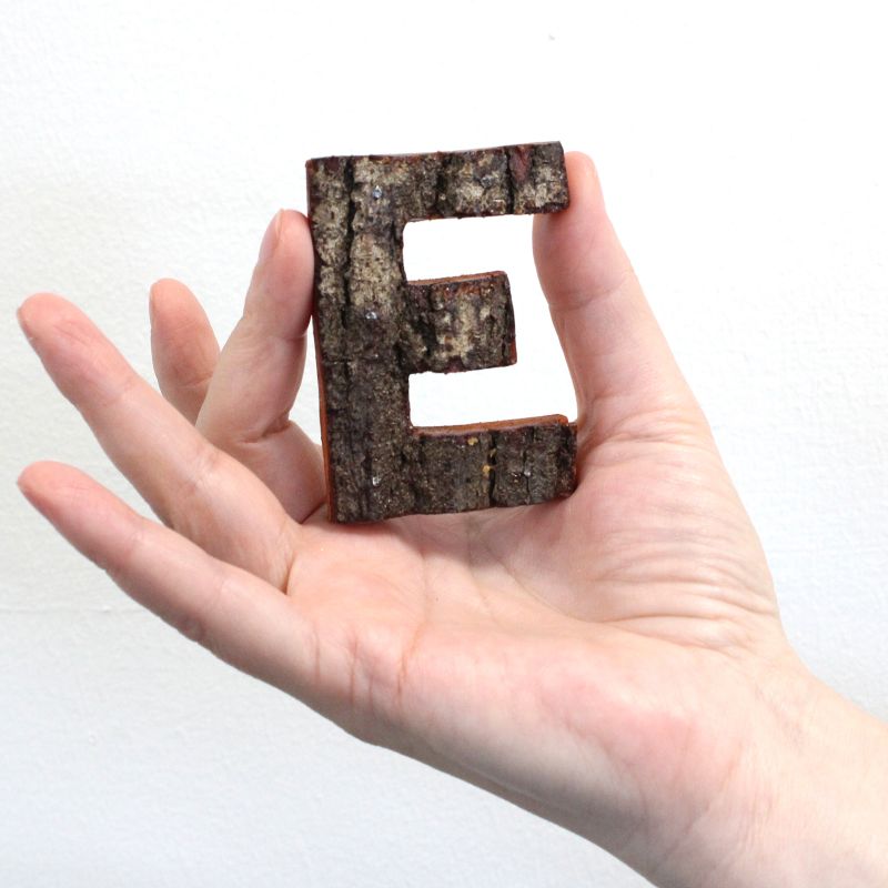 Písmeno - Rustikální Kůra - E  - 7cm