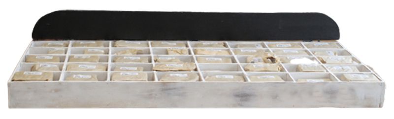 Rustikální Čísla a Písmena - Styl Kůry - Výstavní Box & Starter