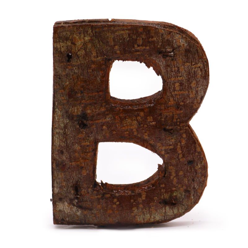 Písmeno - Rustikální Kůra - B  - 7cm