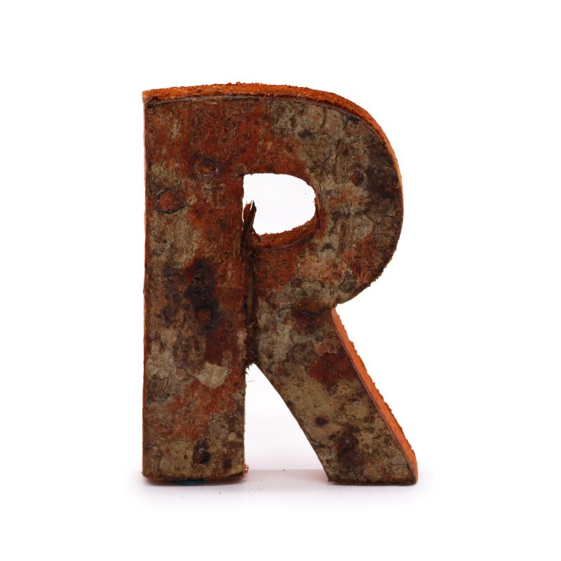 Písmeno - Rustikální Kůra - R  - 7cm