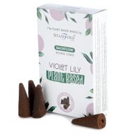 Rostlinné Vonné Kužely “Tekoucí Dým“ - Fialová Lilie