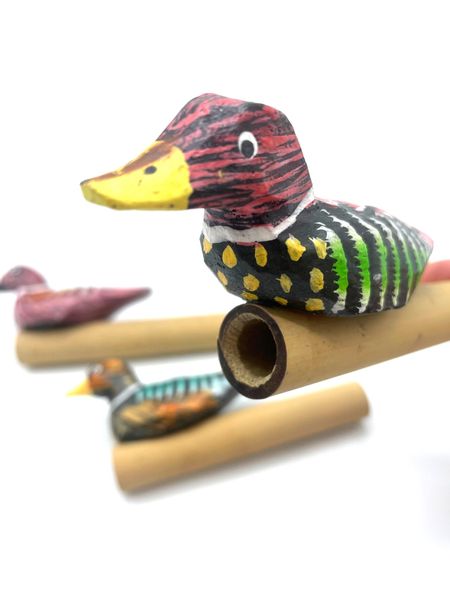 Píšťalka - Kachna - 4 Různé Druhy