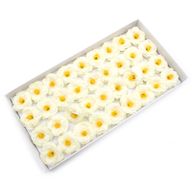 Mýdlové Květy - Kamélie - Krémová