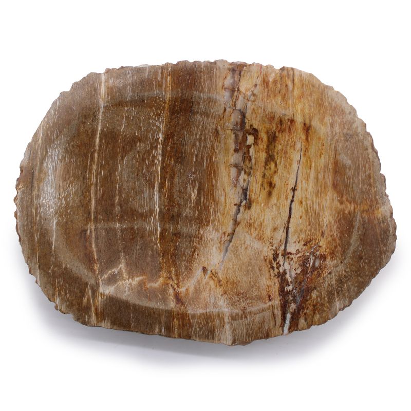 Hnědá Mýdlenka ze Zkamenělého Dřeva