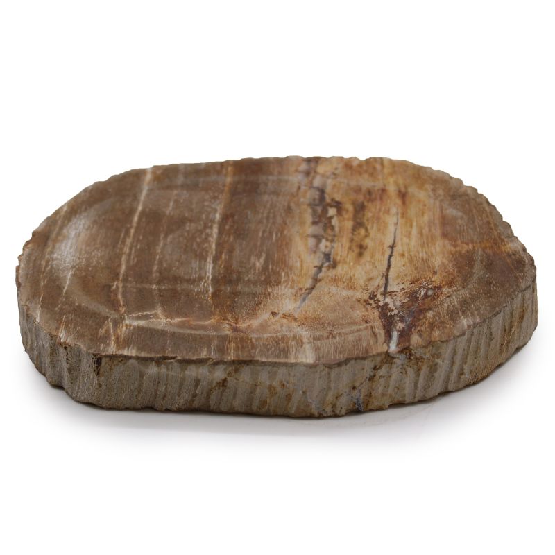 Hnědá Mýdlenka ze Zkamenělého Dřeva