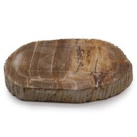 Hnědá Mýdlenka ze Zkamenělého Dřeva