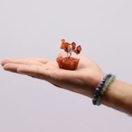 Mini Stromek s Drahými Kameny na Orgonitovém Podstavci - Karneol (15 kamenů)