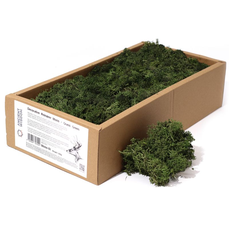 Kvalitní Dekorativní Mech - Zelená Tráva - 635g Box
