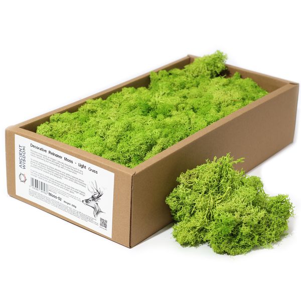 Kvalitní Dekorativní Mech - Světlá Tráva - 635g Box