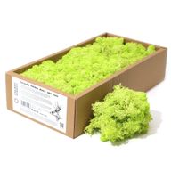 Kvalitní Dekorativní Mech - Mátová Zelená - 635g Box