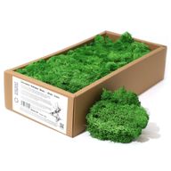 Kvalitní Dekorativní Mech - Mechová Zelená -  635g Box