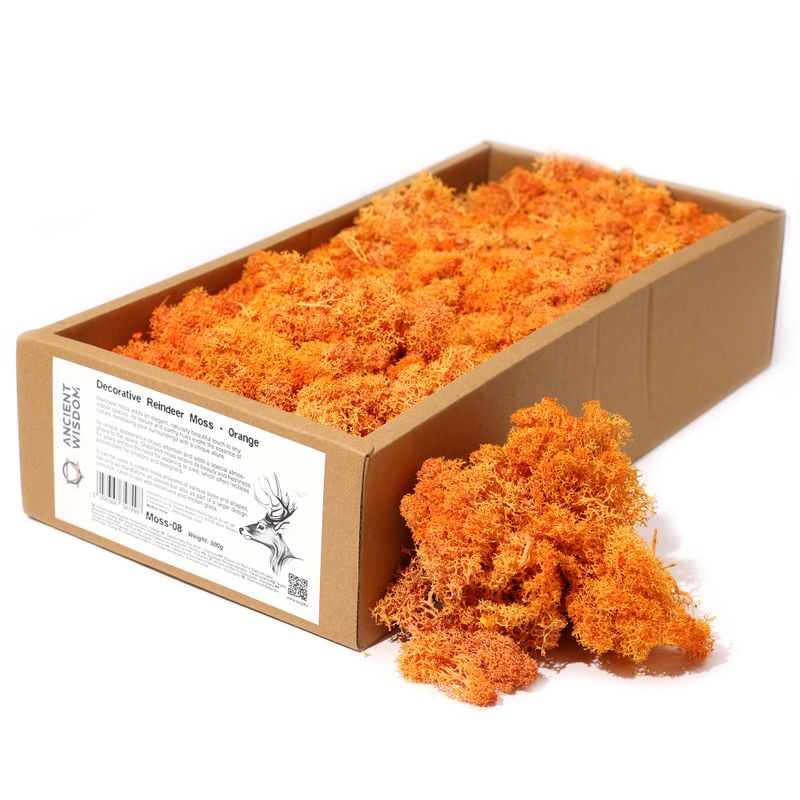 Kvalitní Dekorativní Mech - Oranžová - 635g Box