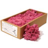 Kvalitní Dekorativní Mech - Růžová - 635g Box