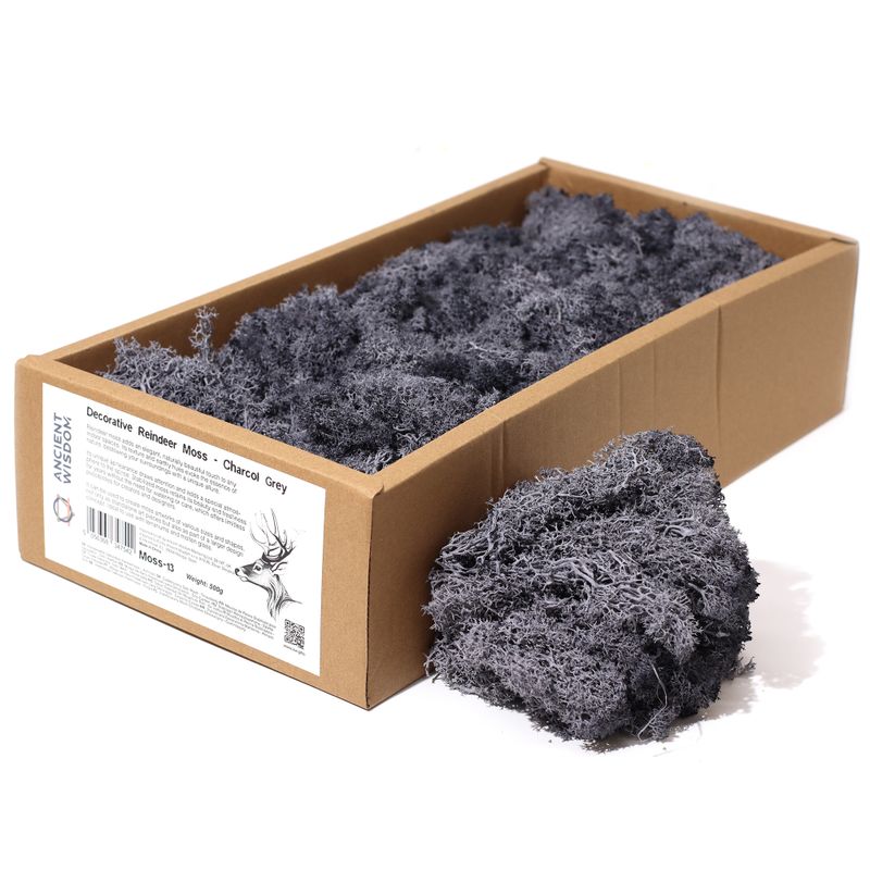 Kvalitní Dekorativní Mech - Uhlově Šedá - 635g Box