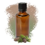 Borovice Lesní 50ml - Bez Etikety