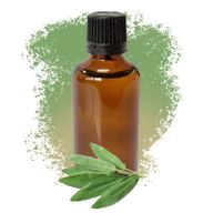 Šalvěj 50ml - Bez Etikety