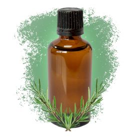 Rozmarýn 50ml - bez Etikety