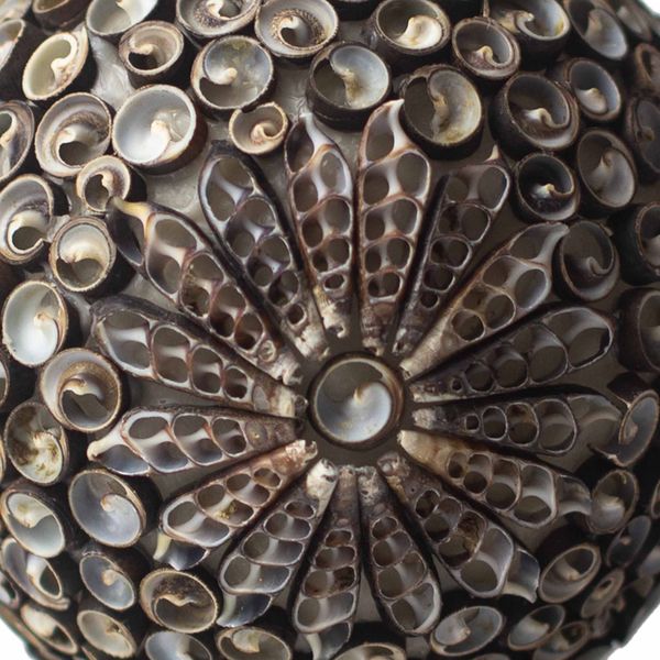 Boho Lampa z Mořských Mušlí - Glóbus Čokoládový Twist - 15cm