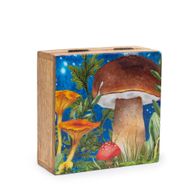 Střední Čtvercová Krabička 13.5x13.5x6cm - Hříbový Design - Modrozelený
