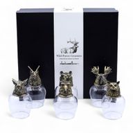 Dárková Sada 6 Sklenic Bottom Up Bottom Up (100ml) - Bytosti Divokého Lesa - Starožitný Bronz