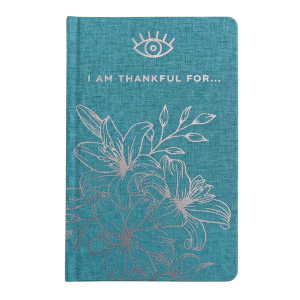 Modrý Deník Vděčnosti - 120 stran - I am Thankful For - Stříbrná Podšívka