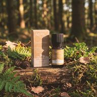 Směs Esenciálních Olejů - Skiddaw Box - Pomeranč, Levandule & Smrk