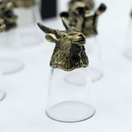 Dárková Sada 12 Panáků Bottom Up (25ml) - Bytosti Čínského Zvěrokruhu -  Starožitný Bronz