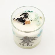 Agnes & Cat Botanická Sójová Svíčka - Mořská Sůl & Mech