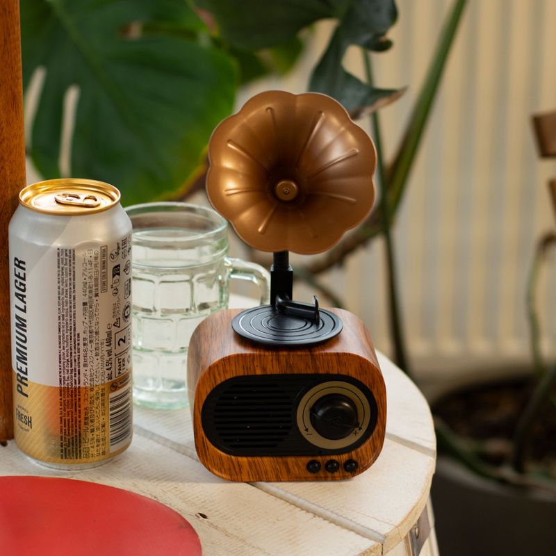 Mini Reproduktor - Retro Gramofon - Bluetooth & FM Rádio