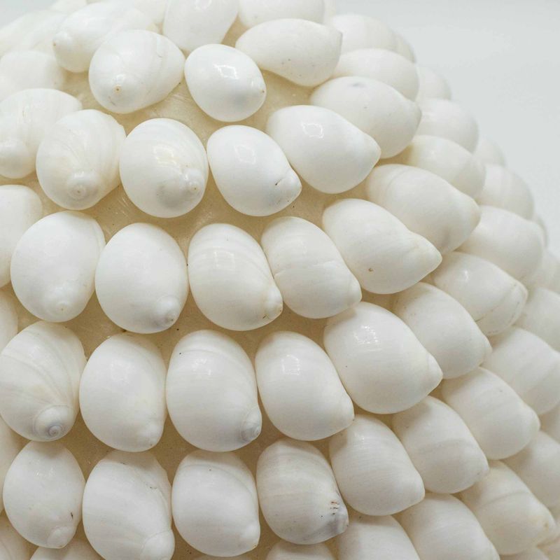 Boho lampa ze mořských mušlí - Buting Shell Ovál - 15 cm