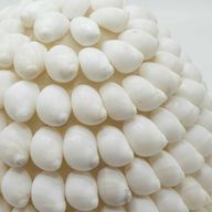 Boho lampa ze mořských mušlí - Buting Shell Ovál - 15 cm