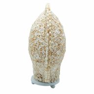Boho lampa ze mořské mušle - řezaná umělecká mušle, velká kulatá - 30 cm
