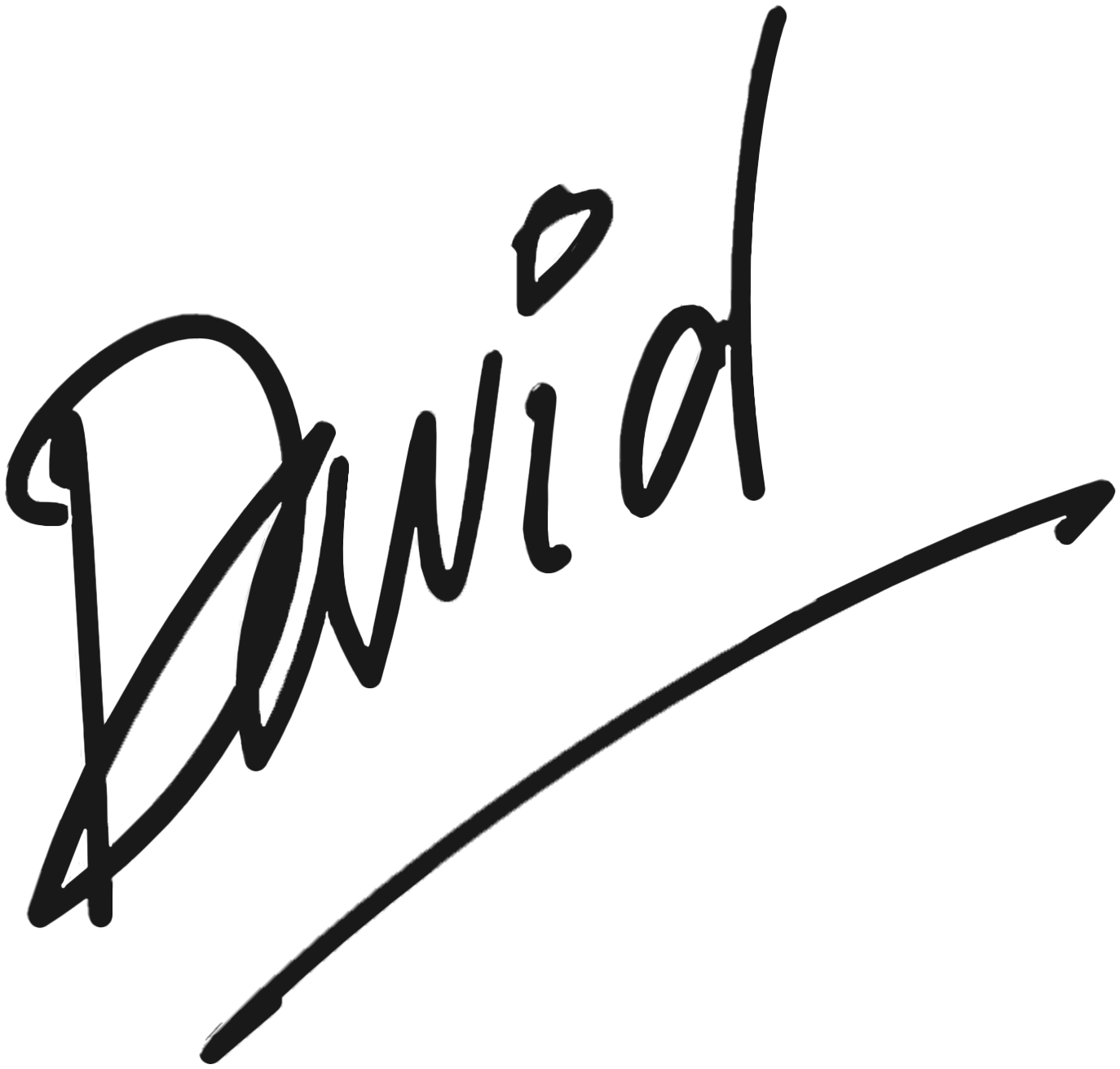 David's Signature_1.png
