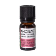 10 ml aromaterapeutická směs do auta - Grand Tour