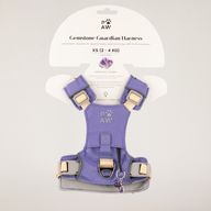 PAW - XS (2-4 kg) Psí postroj Step-in Guardian s reflexní síťovinou - levandulová - ametystový přívěšek