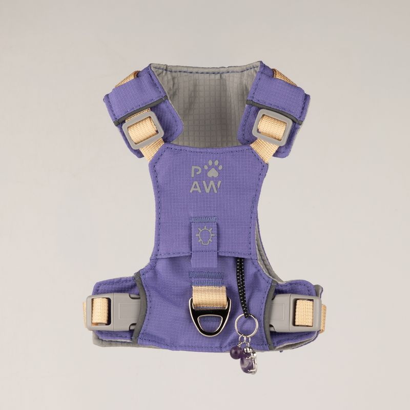PAW - XS (2-4 kg) Psí postroj Step-in Guardian s reflexní síťovinou - levandulová - ametystový přívěšek