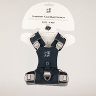 PAW - XS (2-4 kg) Postroj pro psa typu Step-in Guardian s reflexní síťovinou - kamenně šedá - černý obsidiánový přívěšek