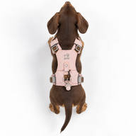 PAW - XS (2–4 kg) Psí postroj Guardian pro snadné nasazení s reflexní síťovinou - jemná růžová - přívěšek z růžového křemene