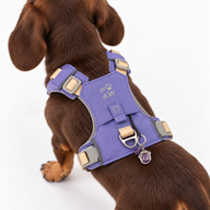 PAW - XS (2-4 kg) Psí postroj Step-in Guardian s reflexní síťovinou - levandulová - ametystový přívěšek