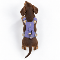 PAW - XS (2-4 kg) Psí postroj Step-in Guardian s reflexní síťovinou - levandulová - ametystový přívěšek