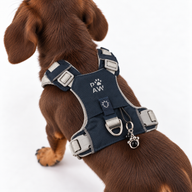 PAW - XS (2-4 kg) Postroj pro psa typu Step-in Guardian s reflexní síťovinou - kamenně šedá - černý obsidiánový přívěšek