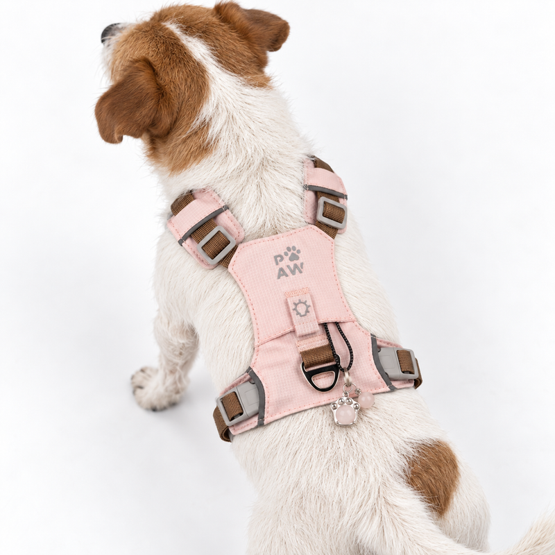 PAW - S (4-8Kg) Psí postroj typu step-in Guardian se reflexní síťovinou - světle růžová - přívěšek z růžového křemene